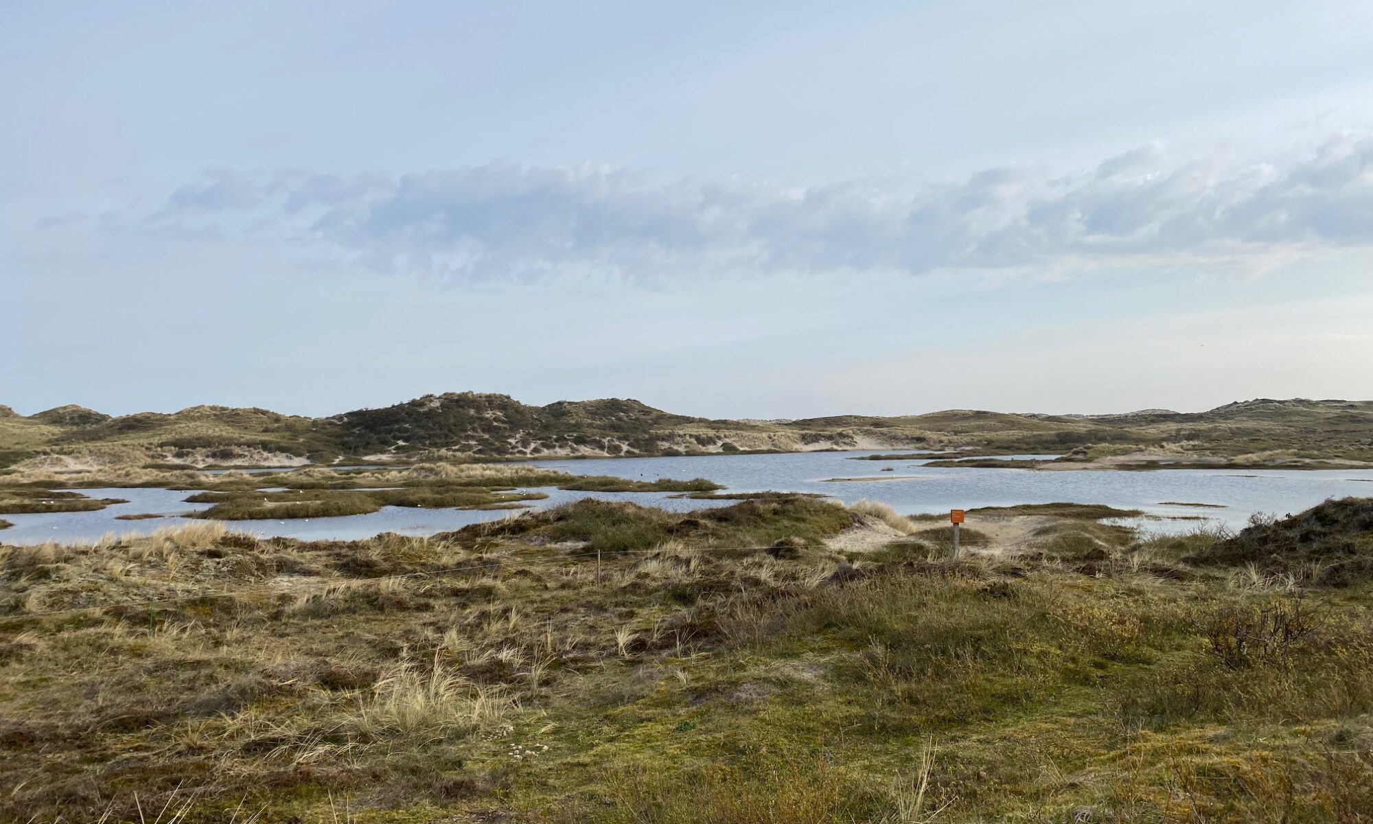 Hardlopen voor je ontbijt